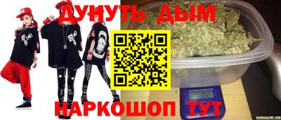 индика Дубна