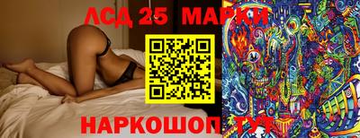 индика Дубна