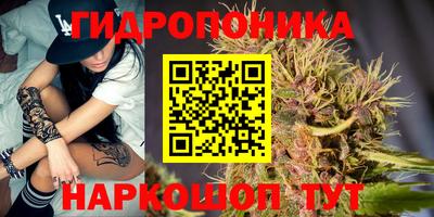 молекула духа Донецк