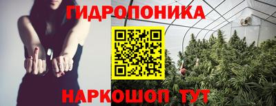 молекула духа Донецк