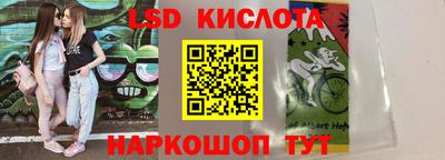 индика Дубна
