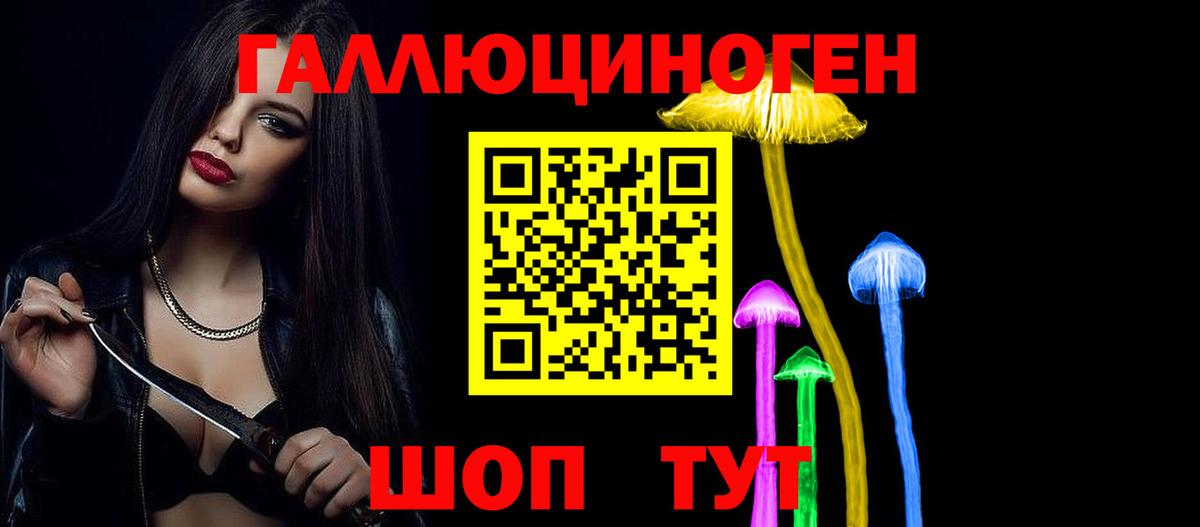 где продают наркотики  Вход с VPN  Галлюциногенные грибы прущие грибы  Муром  Псилоцибиновые грибы Psilocybe 